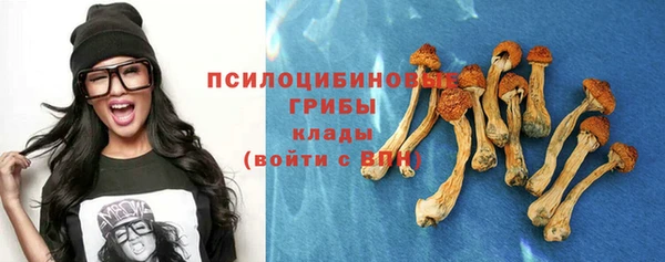 дурь Коряжма