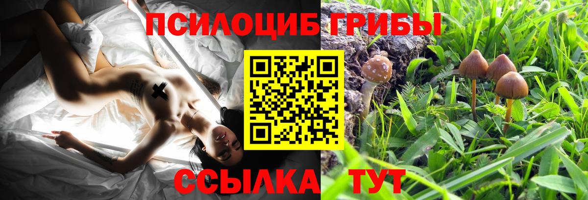 МАРИХУАНА Лысьва