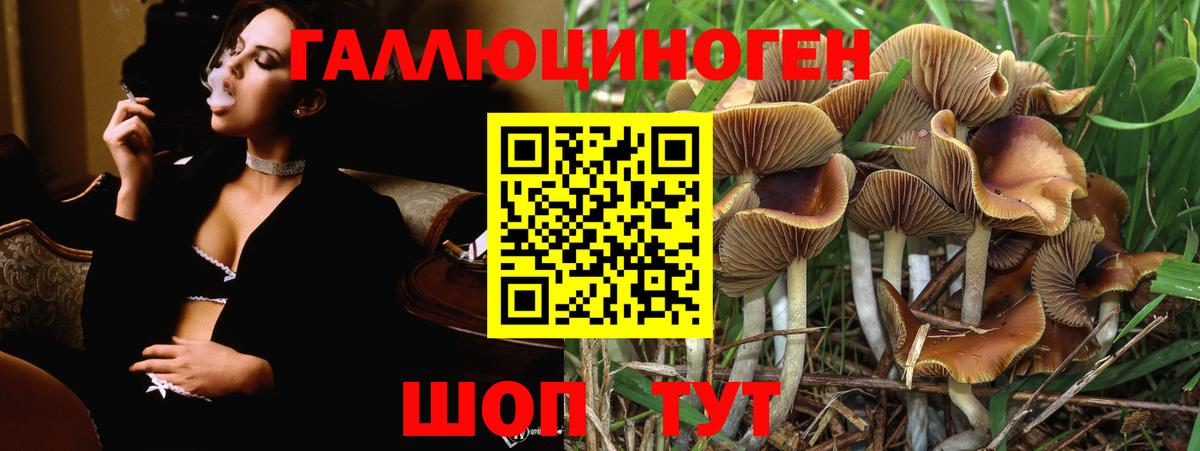 Галлюциногенные грибы мицелий Лысьва